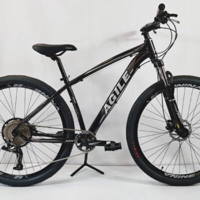 BICICLETA 29 AGILE DYNAMIC 12V