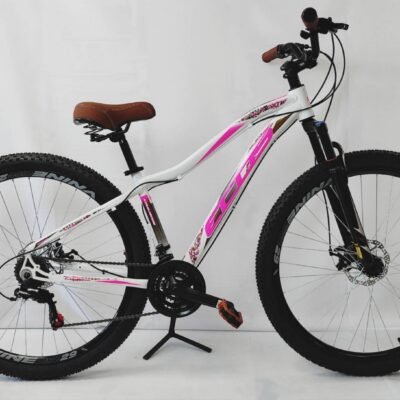BICICLETA 29 AGILE ECOS 21V
