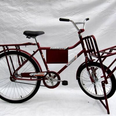 BICICLETA CARGUEIRA AGILE