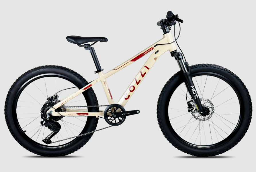 BICICLETA 24 COLLI NAPOLI PRO CUES 9V