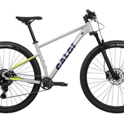 BICICLETA 29 CALOI EXPLORER SL COMP 9V